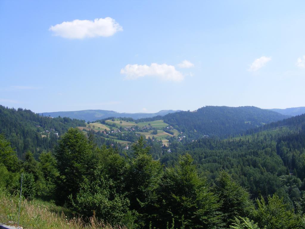 Rezydencja Prezydenta Rp Zamek W Wisle Wisła Dış mekan fotoğraf